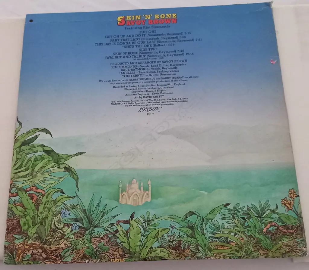 Savoy Brown, Skin 'N' Bone Image 1++